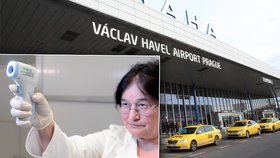 Na letišti Václava Havla začali kontrolovat cestující, zda nemají nebezpečnou ebolu.