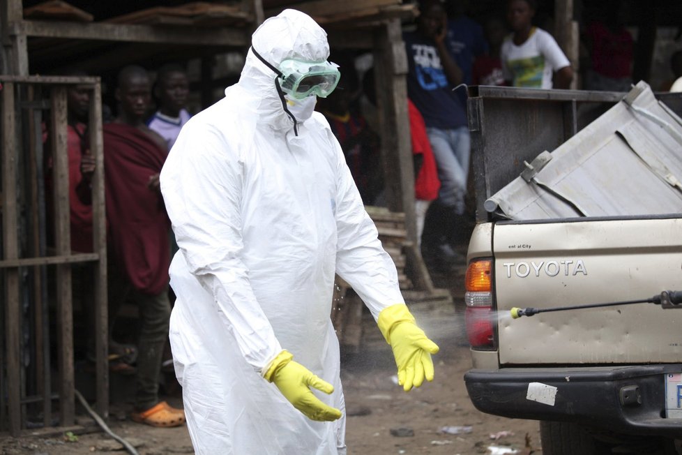 Nejhorší situace s ebolou byla v roce 2013 v západní Africe.