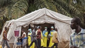 Ebolou stižená západní Afrika bojuje proti nemoci ze všech sil