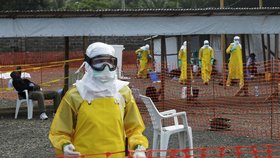 Ebola trápí Afriku. Experimenty s protiléky přitom nevycházejí