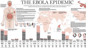 Inkubační doba, tedy doba mezi infikováním a vypuknutím nemoci, trvá od 2 do 21 dnů. Pacienti nemoc přenáší ihned poté, co se u nich projeví první příznaky.