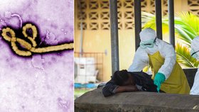 Smrtící epidemie ebola má už více než 1100 obětí a počet nakažených rapidně roste. Situace je tak kritická, že z afrických nemocnic utíkají lékaři!