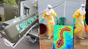 Německo panikaří – ebola dost možná dorazila do Berlína! Zkolabovala tam žena a má všechny příznaky smrtelné nemoci, úřady kvůli ní vzali do karantény na 600 lidí! Jsou nakažení už i mezi námi?