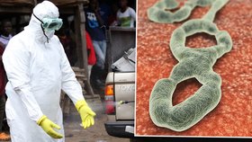 Vir nebezpečné eboly mutuje. Může být ještě víc nakažlivá?!