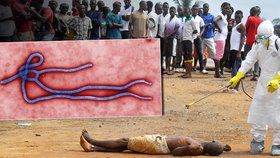 Afrika má epidemii eboly za sebou. Trvala přes dva roky, zemřelo přes 11 tisíc lidí.