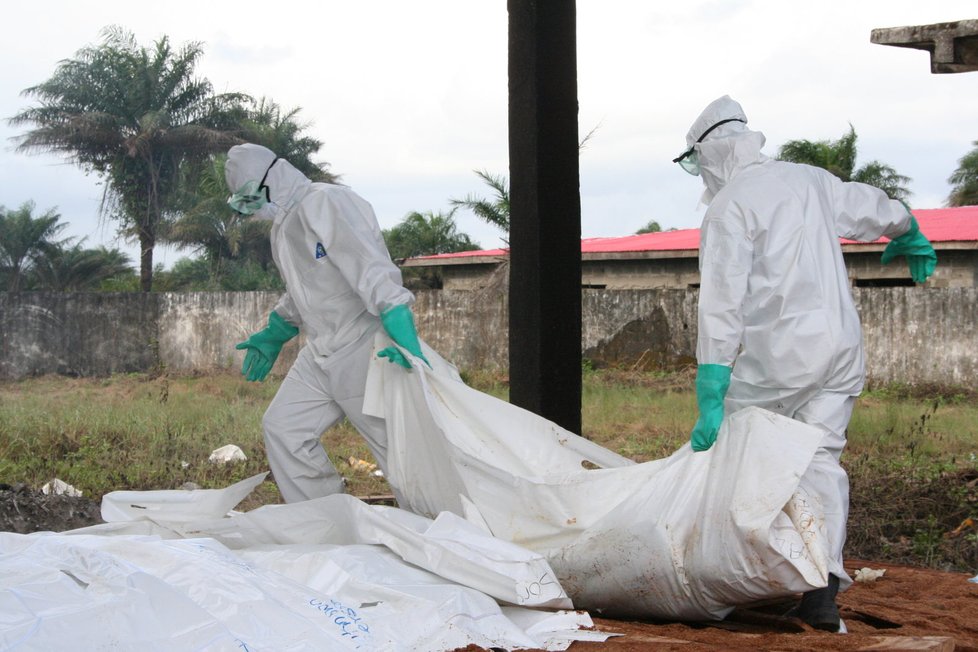 Nejhorší situace s ebolou byla v roce 2013 v západní Africe.