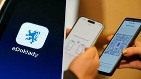 Národní identitní autorita, která slouží k ověřování identity občanů například pro eDoklady, je nedostupná.