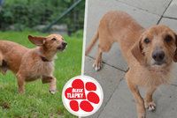 Edvard se toulal ulicemi podvyživený a nemocný. Teď je plný elánu a vyhlíží nový domov