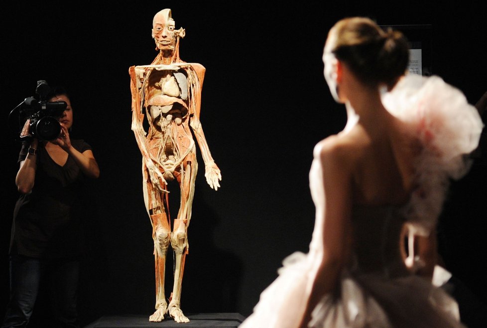 Poněkud bizarně působila přítomnost krásných modelek mezi vypreparovanými lidskými těly, staženými s kůže.