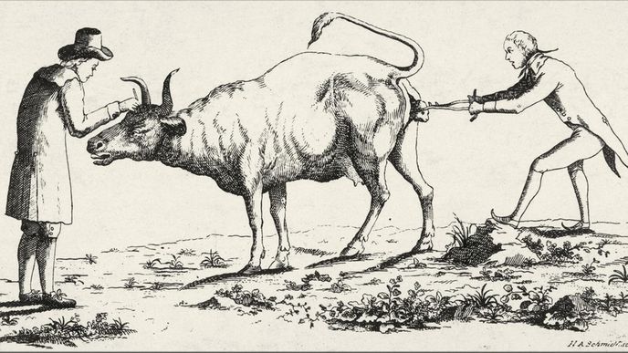 Edward Jenner na dobové ilustraci Edward Jenner na dobové ilustraci