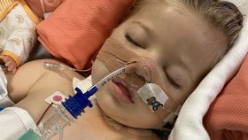 Dvouletá dívka utrpěla vážnou otravu bakterií E.coli při all-inclusive pobytu v Egyptě