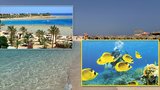 Egypt láká na průzračné moře, potápění i podmořskou krávu!