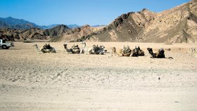 Egypt je oblíbenou destinací českých turistů.