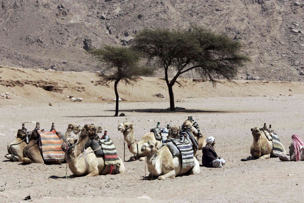 Egypt je oblíbenou destinací českých turistů.