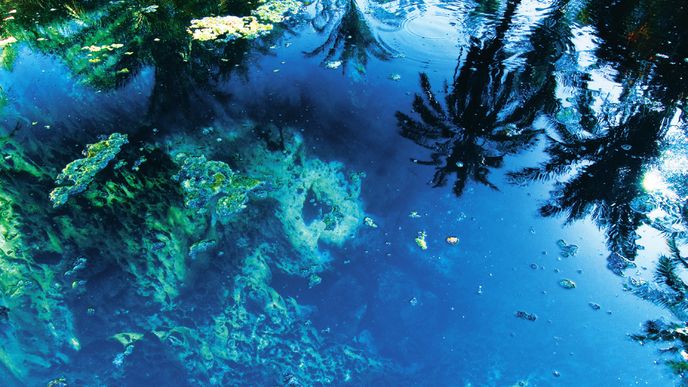 Bazénky v oáze Síwa jsou vlatně kruhové zídky do nichž spodem proudí voda.