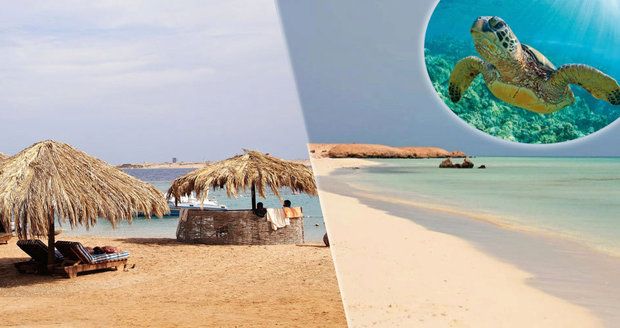 Nejkrásnější egyptské pláže: Nádhera, kam se podíváš! 