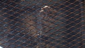 Egyptský soud s podporovateli svrženého islamistického exprezidenta Mursího