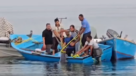 Žralok u pláže v egyptském letovisku El Quseir.