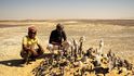 Redovo soukromé open-air muzeum tvořené z pokladů nalezených v poušti