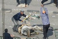 Káhira v krvi: Mubarakovi stoupenci zabíjeli demonstranty