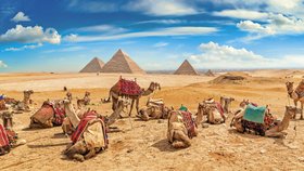 Pyramidy a velbloudi