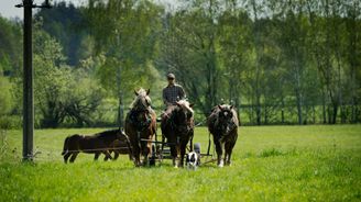 Když hospodaří celá rodina. Na farmě Lukava obdělávají půdu ručně i za pomoci koní, zákazníky znají osobně 
