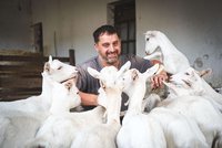 Z navráceného statku je ekologická farma s vyhlášenými kozími sýry