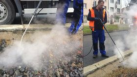 Chemii odzvonilo. S neřádným plevelem např. na tramvajových tratích se v Praze od nynějška bude bojovat vroucí vodou a párou.