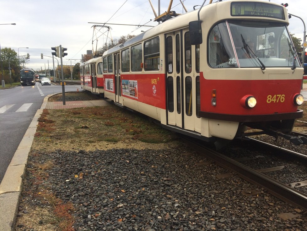 Vypadá takto budoucnost zelených tramvajových tratí v Praze? Místo travnatých povrchů by tramvaje mohly jezdit přes plochy vysázené rozchodníky.