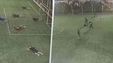 Poprava na fotbalovém hřišti: Ozbrojenci si během »přáteláku« vyřizovali účty?!