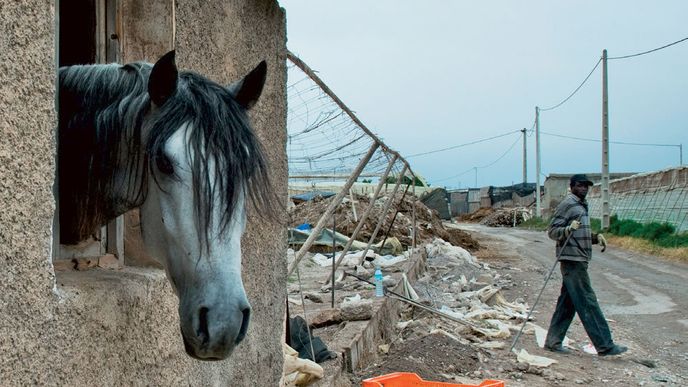 Velkopěstírna zeleniny u španělského městečka El Ejido: Zahrada Evropy nebo chemická laboratoř?