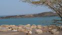 Vesnice El Molů na březích jezera Turkana