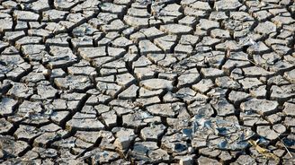 Loňský rok byl nejteplejší od 18. století Loňský rok byl nejteplejší od 18. století