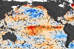 Povrchová teplota Tichého oceánu během jevu El Niño