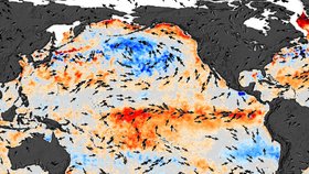 Povrchová teplota Tichého oceánu během jevu El Niño