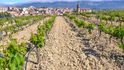 „Město vína“, projektované pro vinařství Marqués de Riscal, bylo otevřeno v malé baskické vesničce Elciego