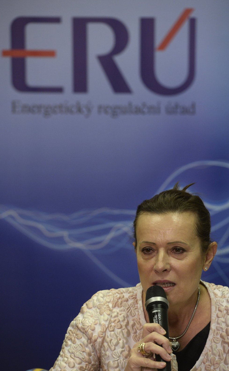 Alena Vitásková na dnešní tiskové konferenci