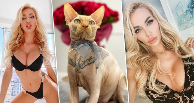 Prsatá influencerka se zachovala jako pořádná husa: Nechala potetovat svého kocoura! 