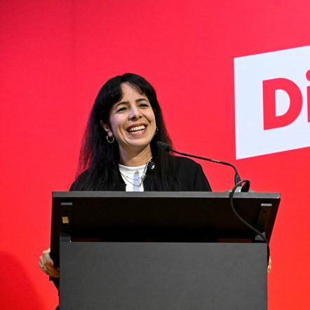 Die Linke jsou potomci komunistů. Levicoví extremisté už v Německu vládli dávno Die Linke jsou potomci komunistů. Levicoví extremisté už v Německu vládli dávno