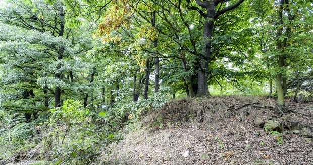 Reportéři Blesku na místě činu: Tady našla policie při pátrání tělíčko Elišky