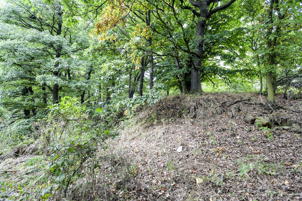 Tady našla policie při pátrání tělíčko Elišky