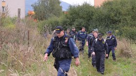 Pátrání po Elišce (9): Policisté pročesávající Klášterec nad Ohří