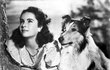 Jako jedenáctiletá s populární Lassie ve ﬁlmu Lassie se vrací (1943).