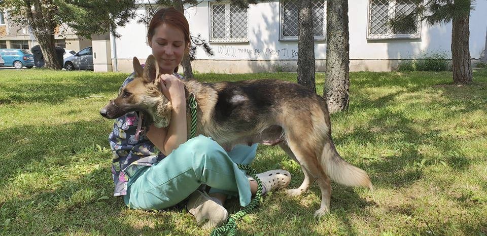 Fenka Elizabeth, kterou někdo hodil svázanou drátem pod most, se má opět čile k světu.