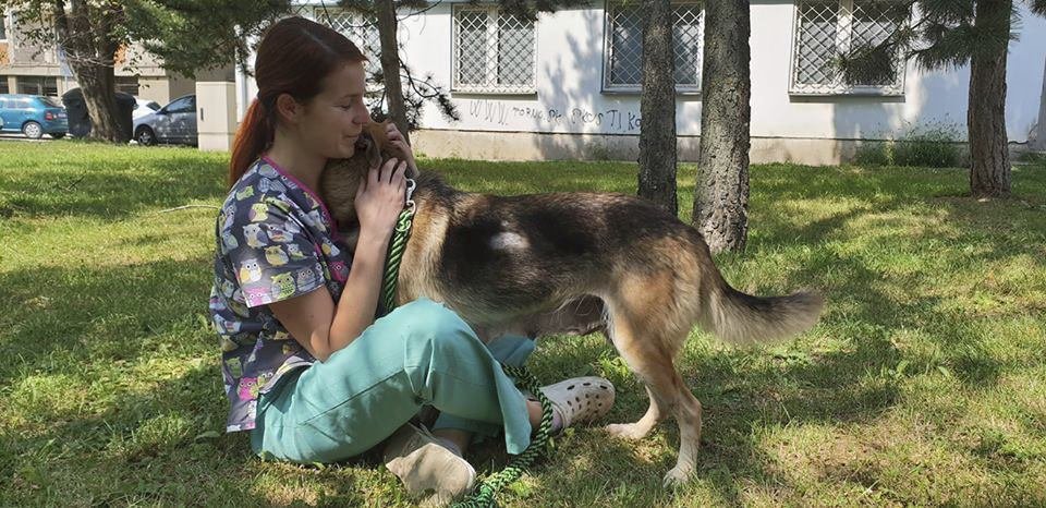 Fenka Elizabeth, kterou někdo hodil svázanou drátem pod most, se má opět čile k světu.