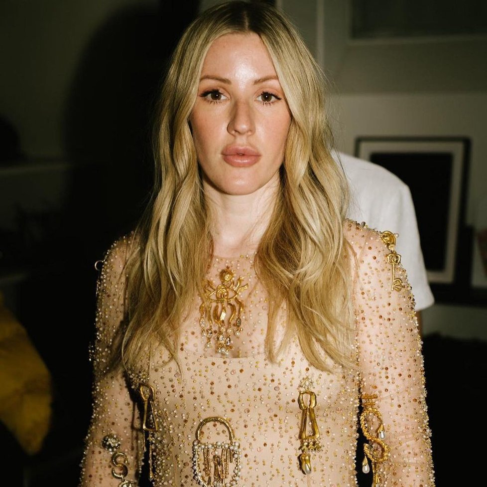 Zpěvačka Ellie Goulding