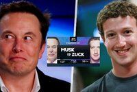 Musk vyzval Zuckerberga k souboji v kleci, ten souhlasil. Myslí miliardáři rvačku vážně?