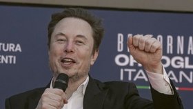 Elon Musk na marketingové konferenci