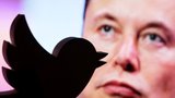 Německé vládě došly nervy. Kvůli Muskovi chce odejít z twitteru, nastane odliv i v Česku?