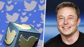 Elon Musk a Twitter